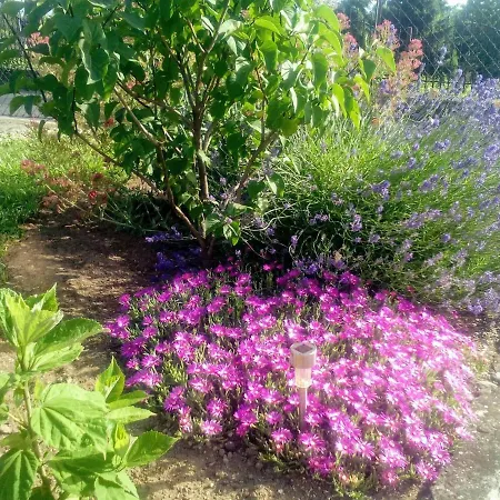 Apartman Mogyorósi Badacsonytördemic