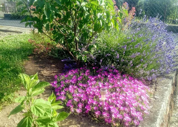 דירה Mogyorosi Badacsonytördemic