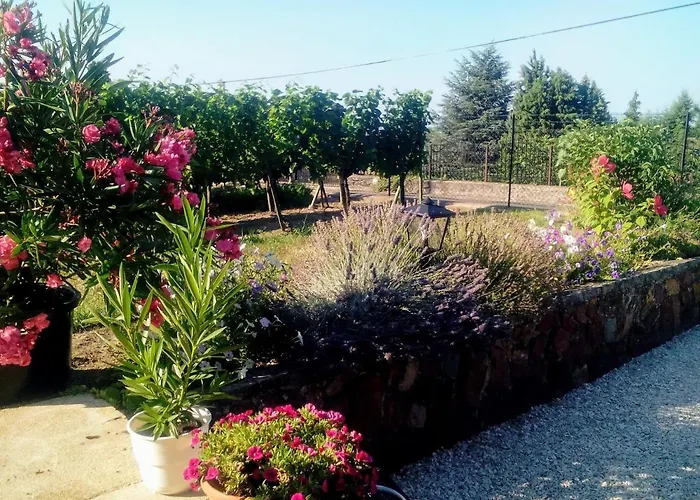 דירה Mogyorosi Badacsonytördemic